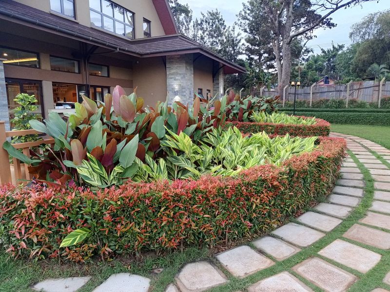 A well-kept garden bed edged with a neatly trimmed low hedge beside a curved stone path