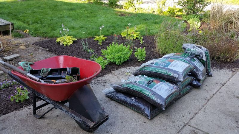 A wheelbarrow and bags of mulch beside a freshly planted garden bed